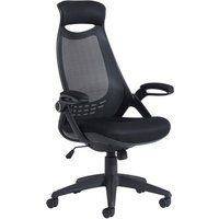 Tuscan High Back Mesh Office Chair With Head Support