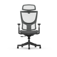 Flexi-Chair Ergonomic Office Chair
