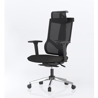 Ergonomic Chair with 8 Level Height-adjustable Backrest