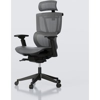 Multi-adjustable Ergonomic Chair with Split Lumbar Support