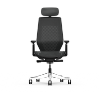 Mesh Ergonomic Office Chair